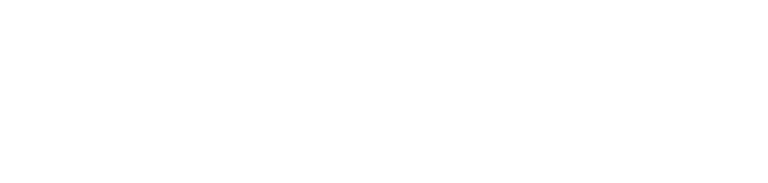 Placonomics Logo white