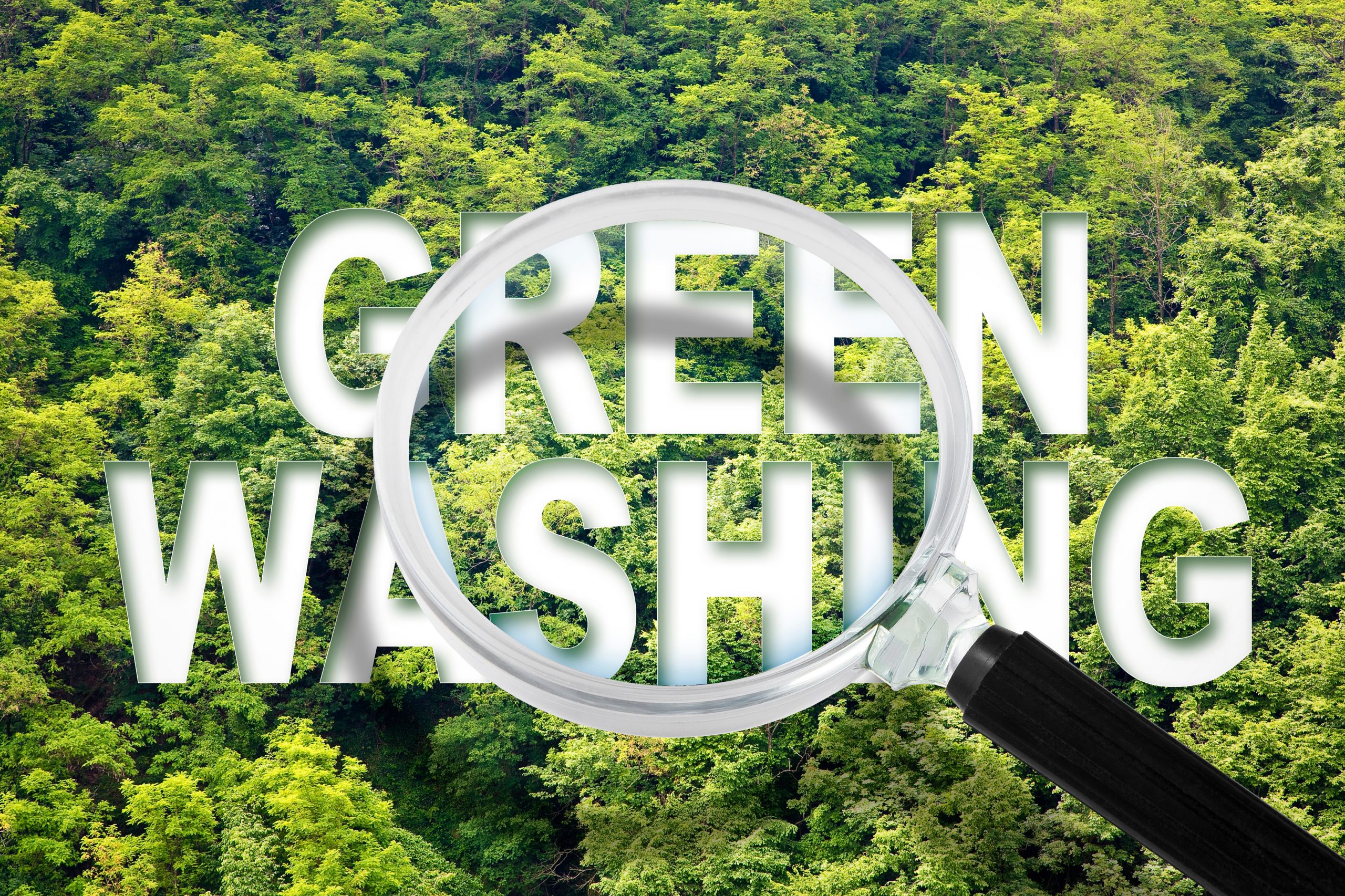 Magnifying glass highlighting the words “GREEN WASHING” against a forest background