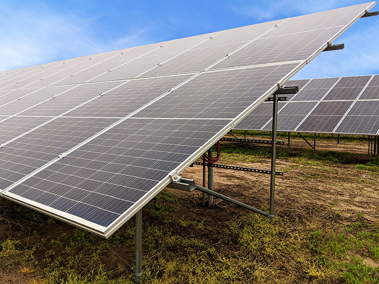 Solar panels mounted in rows over grassy ground under a blue sky